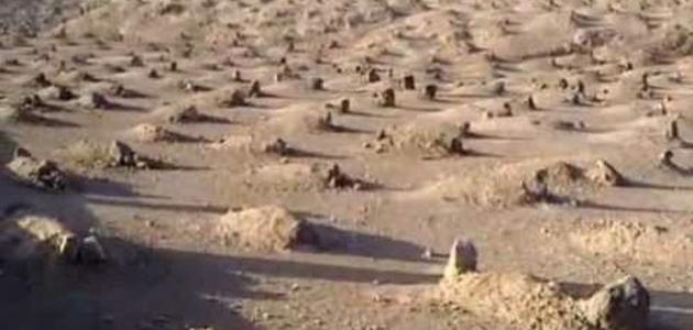 عدد شهداء أحد عدد شهداء أحد