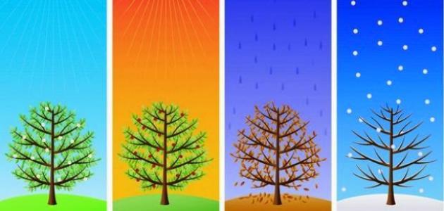 عدد فصول السنة عدد فصول السنة