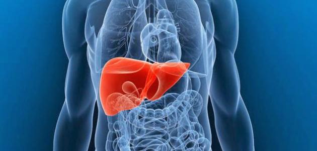 علاج ارتفاع وظائف الكلى علاج ارتفاع وظائف الكلى