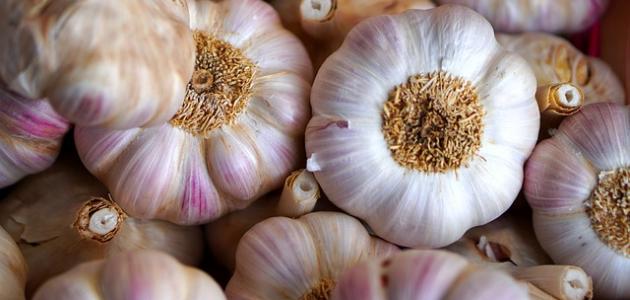 علاج حب الشباب بالثوم علاج حب الشباب بالثوم