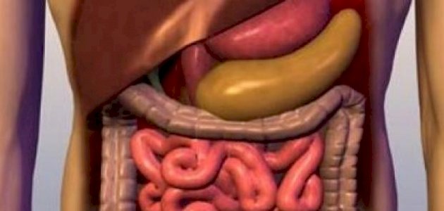 علاج سوء الامتصاص علاج سوء الامتصاص