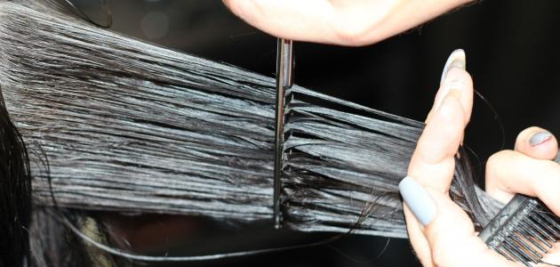 علاج طبيعي لجفاف الشعر