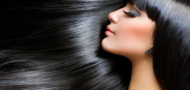 عمل شامبو السدر عمل شامبو السدر