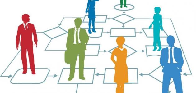 عناصر العملية الإدارية عناصر العملية الإدارية