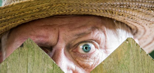 عواقب الحسد في الدنيا