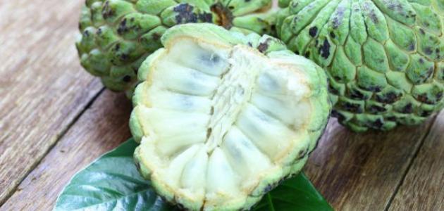 فاكهة القشطة للحامل فاكهة القشطة للحامل