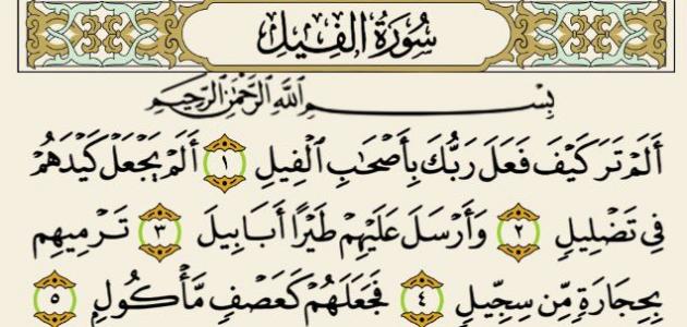 فضل سورة الفيل فضل سورة الفيل