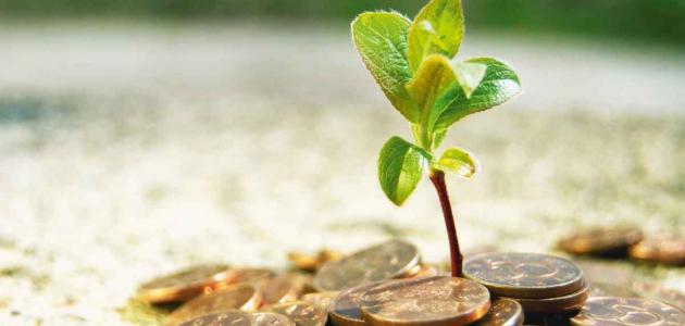 فقه الزكاة فقه الزكاة