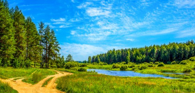 فلسفة التربية الطبيعية