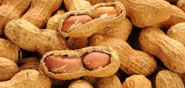 فوائد أكل الفول السوداني للحامل فوائد أكل الفول السوداني للحامل