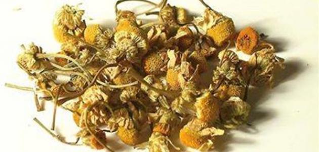 فوائد البابونج للشعر فوائد البابونج للشعر