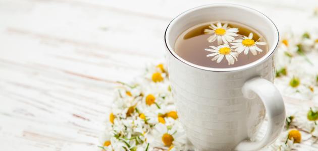 فوائد البابونج واليانسون فوائد البابونج واليانسون