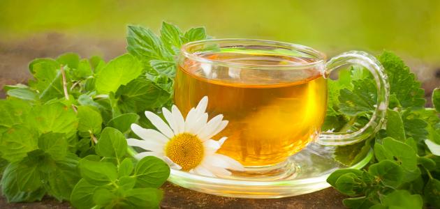 فوائد البردقوش والبابونج فوائد البردقوش والبابونج