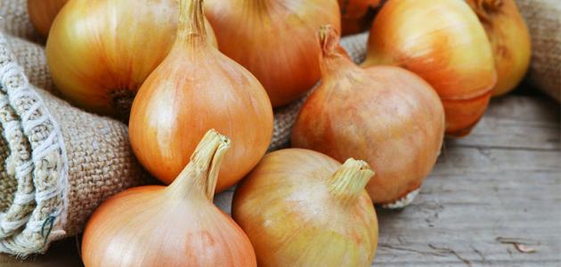 فوائد البصل للبشرة فوائد البصل للبشرة