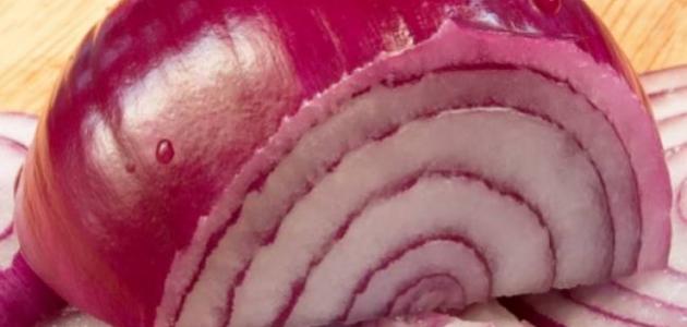 فوائد البصل للشعر الخفيف فوائد البصل للشعر الخفيف