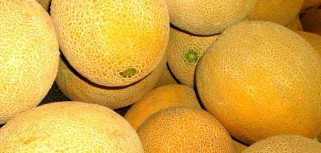 فوائد البطيخ الأصفر فوائد البطيخ الأصفر