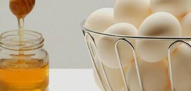 فوائد البيض والعسل للشعر فوائد البيض والعسل للشعر