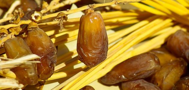 فوائد التمر في الإسلام فوائد التمر في الإسلام
