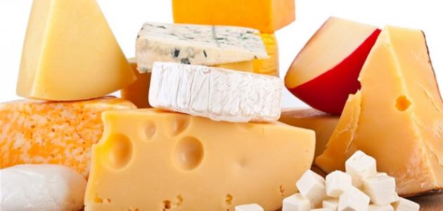 فوائد الجبن للأطفال فوائد الجبن للأطفال