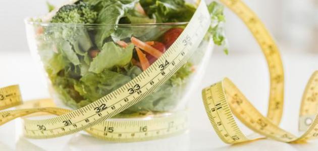 فوائد الرجيم فوائد الرجيم