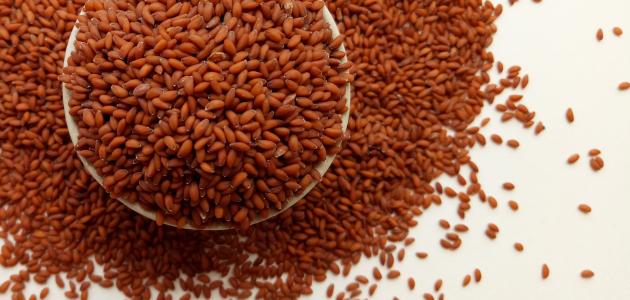 فوائد الرشاد للشعر