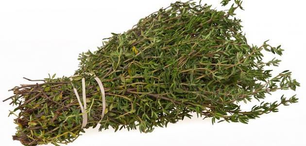 فوائد الزعتر المجفف فوائد الزعتر المجفف