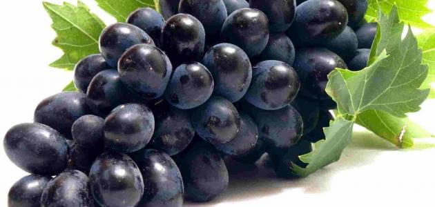 فوائد العنب البناتي فوائد العنب البناتي