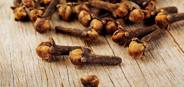 فوائد القرنفل للبشرة فوائد القرنفل للبشرة