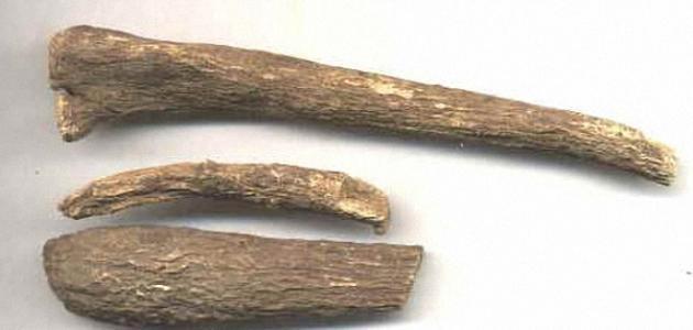 فوائد القسط البحري للغدة الدرقية