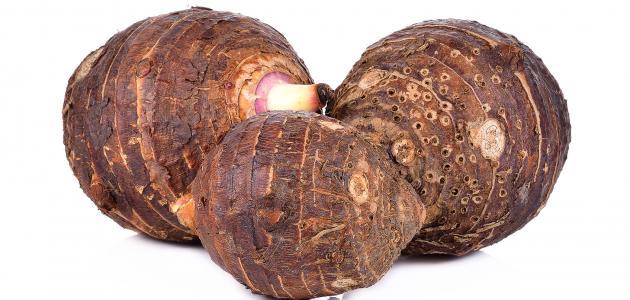 فوائد القلقاس فوائد القلقاس