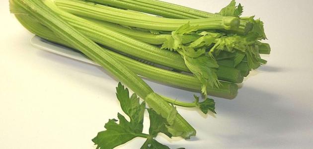 فوائد الكرفس للحامل فوائد الكرفس للحامل