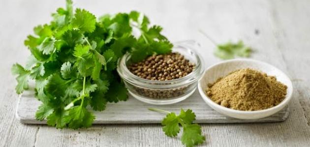 فوائد الكزبرة للبشرة