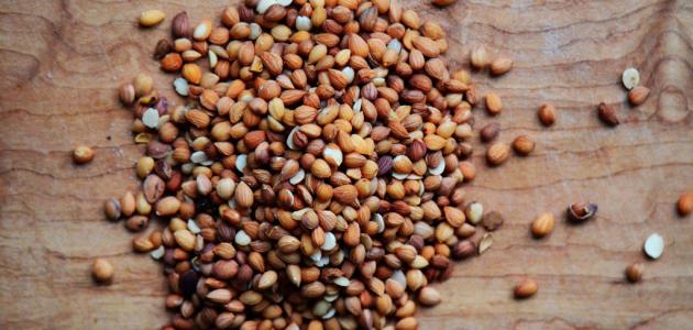 فوائد المحلب لشعر الأطفال فوائد المحلب لشعر الأطفال