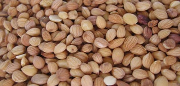 فوائد المحلب للنفاس فوائد المحلب للنفاس