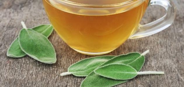 فوائد الميرمية للتنحيف فوائد الميرمية للتنحيف