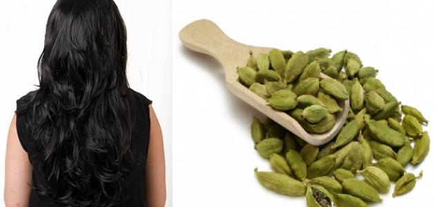 فوائد الهيل للشعر