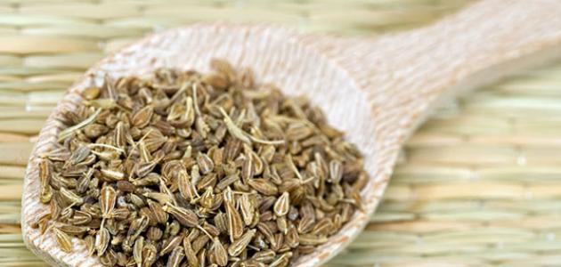 فوائد اليانسون والشمر للتخسيس فوائد اليانسون والشمر للتخسيس