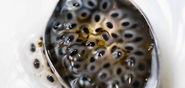 فوائد بذور الريحان