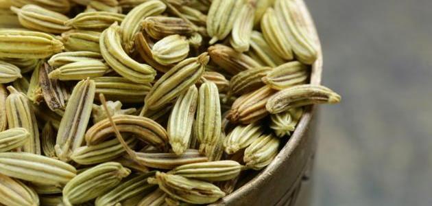 فوائد بذور الشمر للتنحيف فوائد بذور الشمر للتنحيف