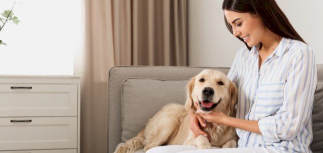 فوائد تربية الكلاب فوائد تربية الكلاب