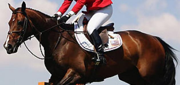 فوائد تعلم الرماية وركوب الخيل فوائد تعلم الرماية وركوب الخيل