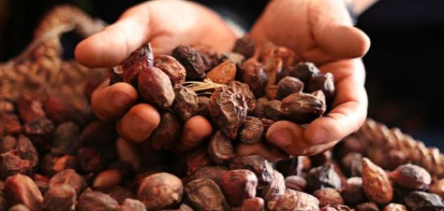 فوائد زيت أركان للبشرة والجسم