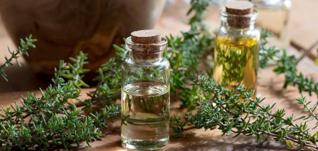 فوائد زيت الزعتر للجسم فوائد زيت الزعتر للجسم