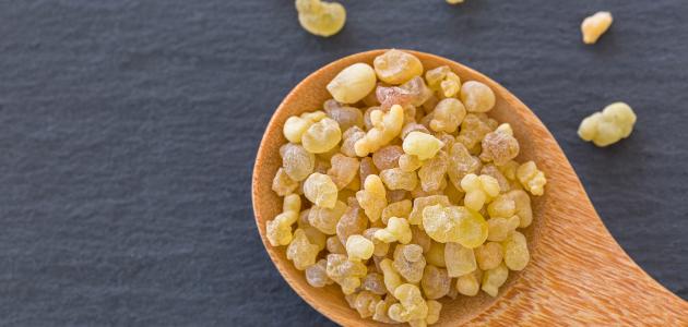 فوائد زيت اللبان المر فوائد زيت اللبان المر