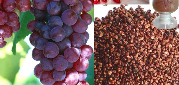 فوائد زيت بذور العنب للبشرة فوائد زيت بذور العنب للبشرة