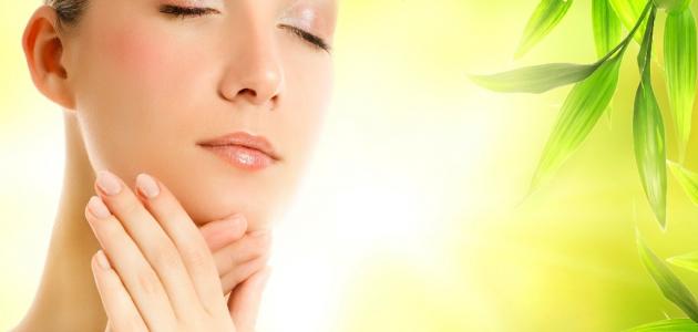 فوائد زيت زيتون للوجه فوائد زيت زيتون للوجه