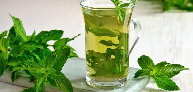 فوائد شرب ماء البقدونس فوائد شرب ماء البقدونس