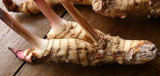 فوائد عشبة خولنجان فوائد عشبة خولنجان