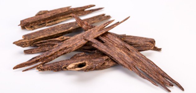 فوائد عشبة عود غريس