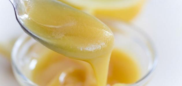 فوائد غذاء ملكات النحل مع العسل فوائد غذاء ملكات النحل مع العسل